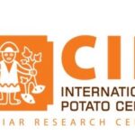 International Potato Center