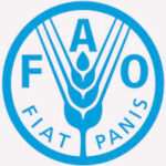 FAO jobs. UN jobs. Food and Agriculture Organization jobs, FAO Career portal, UN Agriculture jobs, FAO recruitment process, FAO Internship career portal