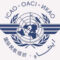 International Civil Aviation Organization