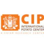 International potato center jobs, CIP jobs, vacancies at CIP, careers at International Potato Center